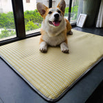 Summer Cooling Dog Mat – Anti-Bite, Non-Stick Pet Sleeping Mattress for Dogs & Cats