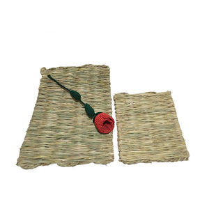 Natural Straw Mat – Breathable Cooling Bed Mat for Cats & Dogs