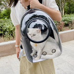 Transparent Skylight Pet Cat Backpack – Breathable, Large-Capacity Travel Bag for Cats & Small Dogs